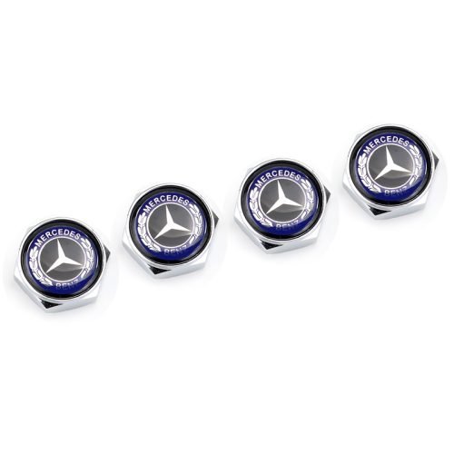 Mercedes Benz Black Logo Silver License Plate Bolts